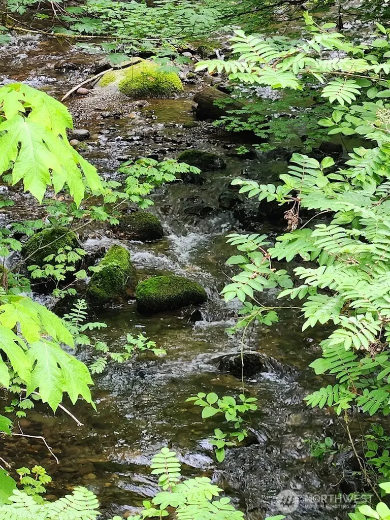 7882 Silver Lake Road Maple Falls WA 98266