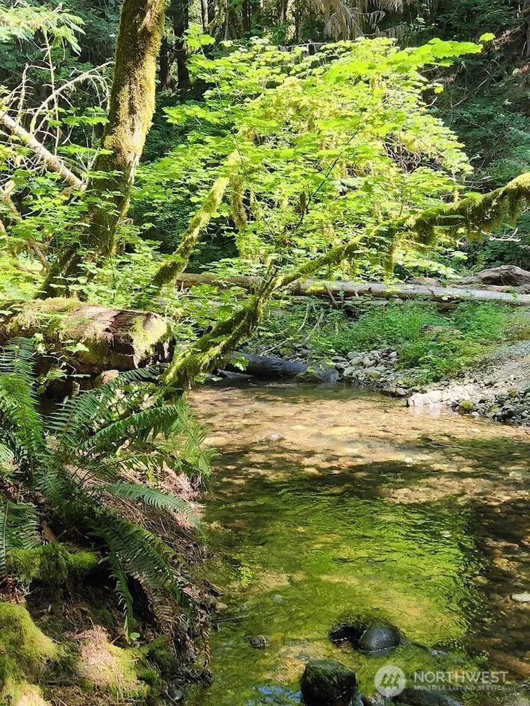 7882 Silver Lake Road Maple Falls WA 98266