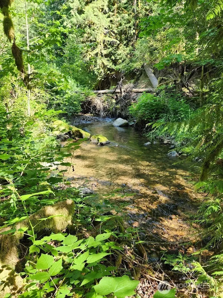 7882 Silver Lake Road Maple Falls WA 98266