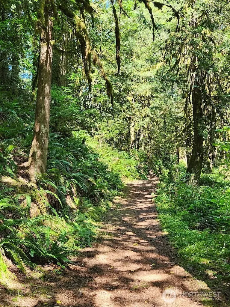 7882 Silver Lake Road Maple Falls WA 98266