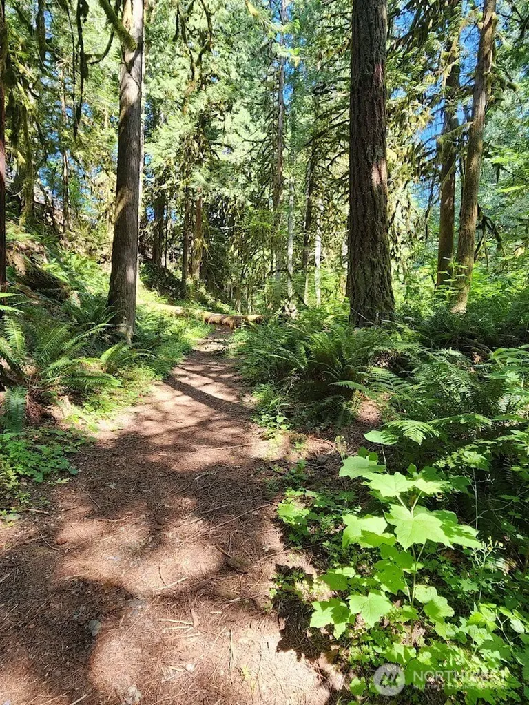 7882 Silver Lake Road Maple Falls WA 98266