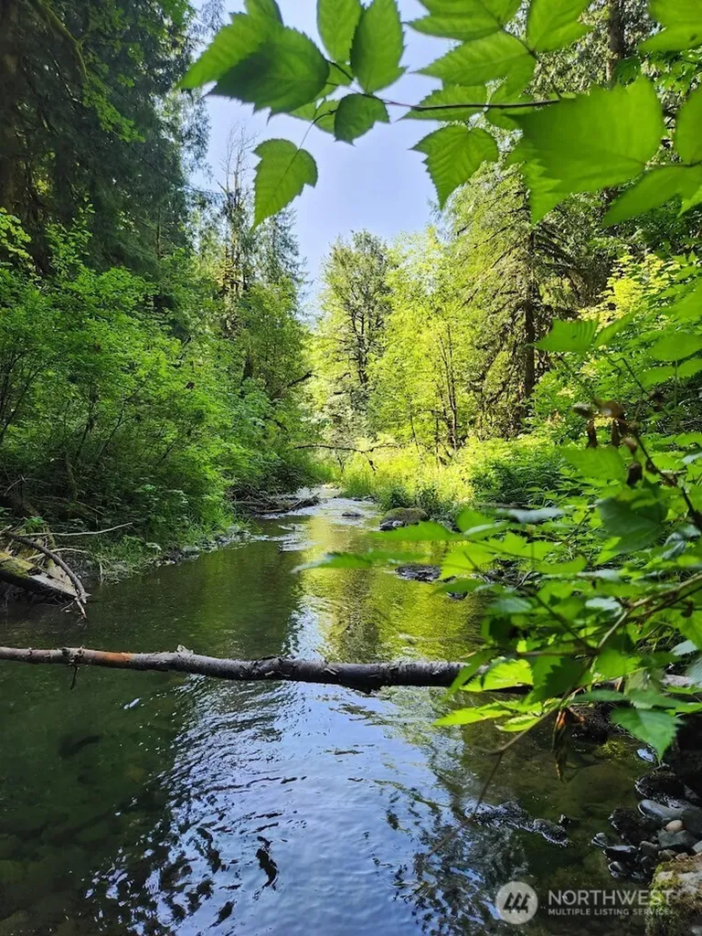 7882 Silver Lake Road Maple Falls WA 98266