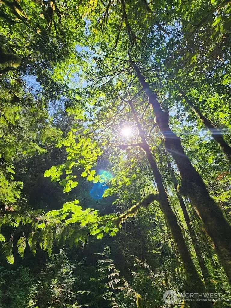 7882 Silver Lake Road Maple Falls WA 98266