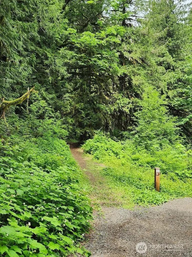 7882 Silver Lake Road Maple Falls WA 98266