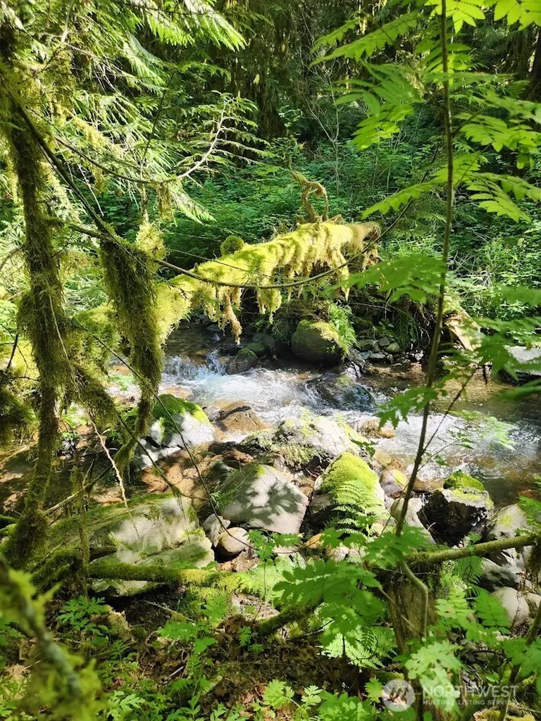 7882 Silver Lake Road Maple Falls WA 98266