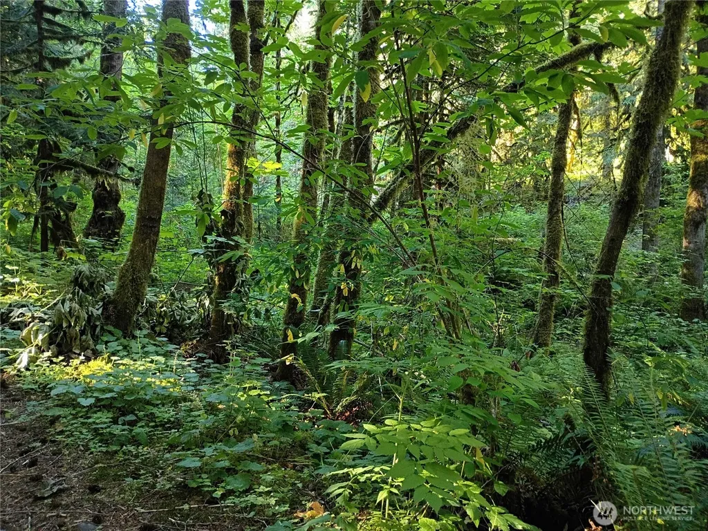 7882 Silver Lake Road Maple Falls WA 98266