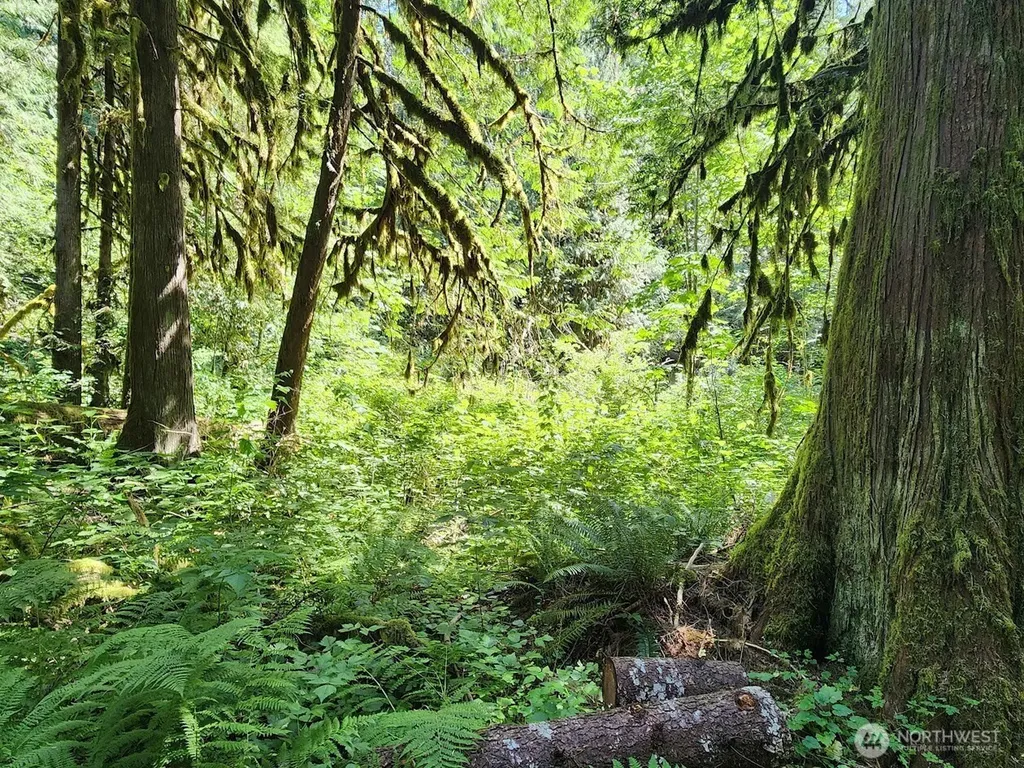 7882 Silver Lake Road Maple Falls WA 98266