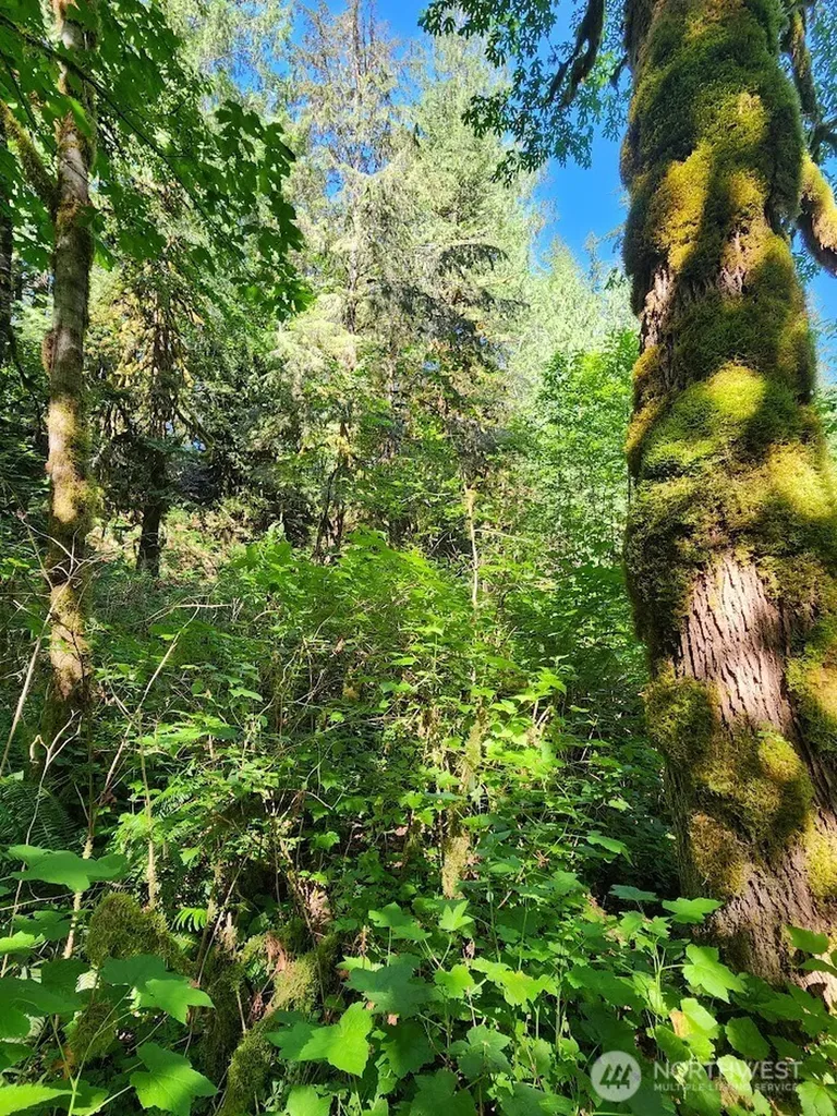 7882 Silver Lake Road Maple Falls WA 98266