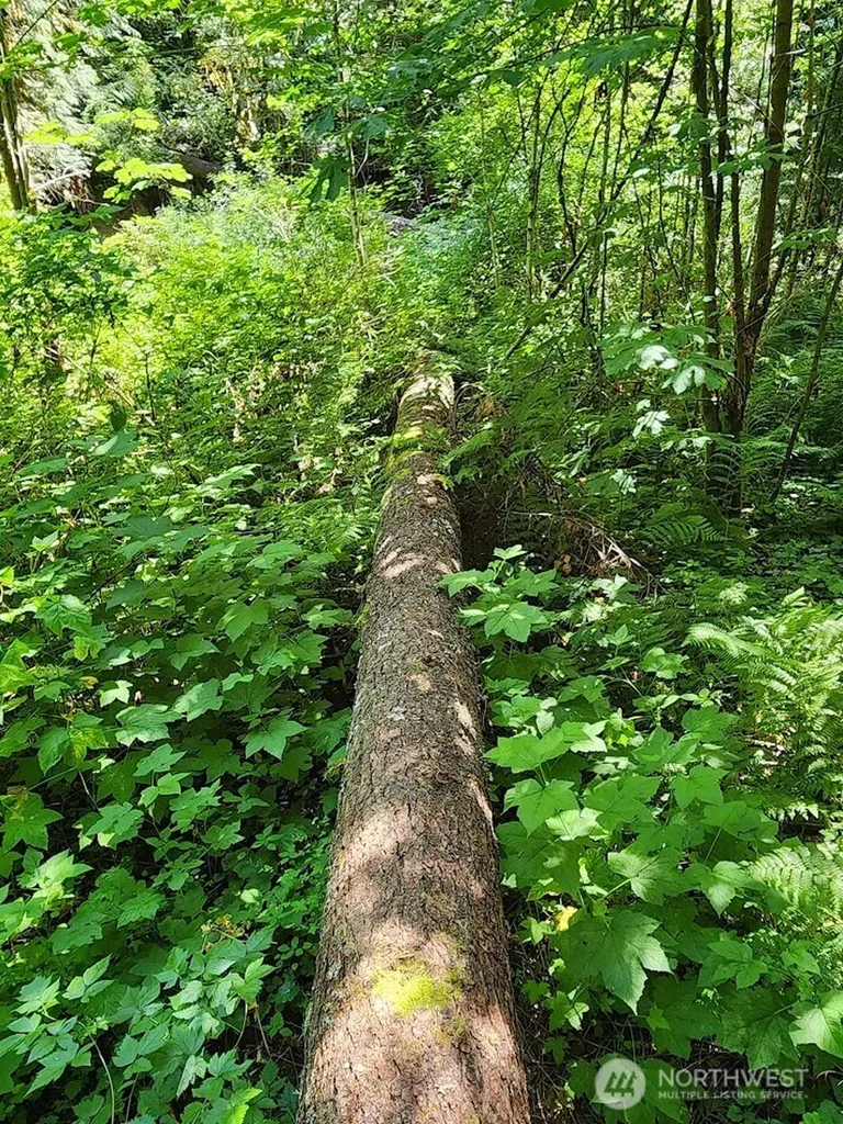 7882 Silver Lake Road Maple Falls WA 98266