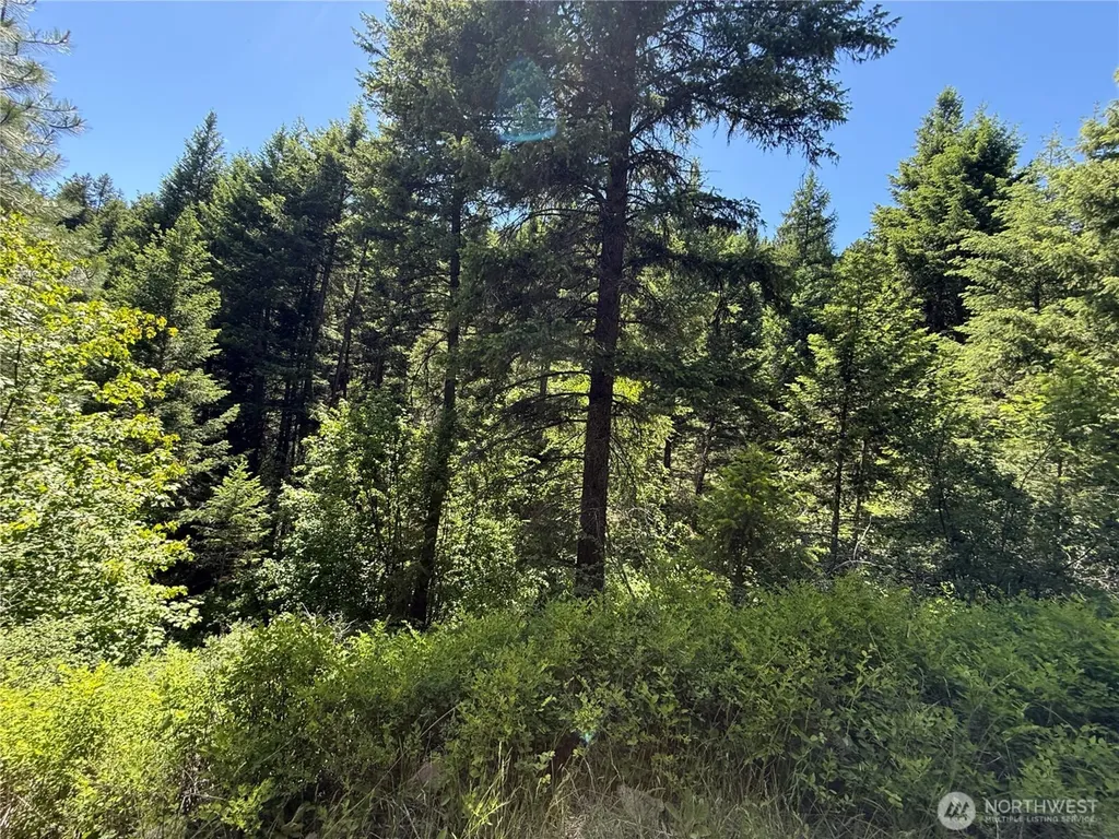 0 Toroda Creek Road Wauconda WA 98859