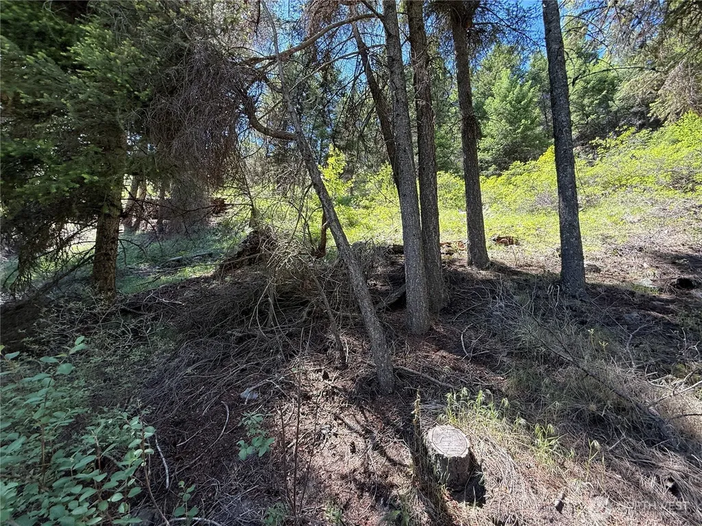 0 Toroda Creek Road Wauconda WA 98859