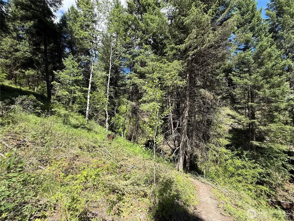 0 Toroda Creek Road Wauconda WA 98859