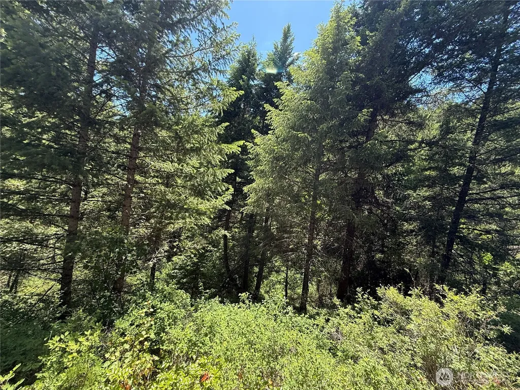 0 Toroda Creek Road Wauconda WA 98859