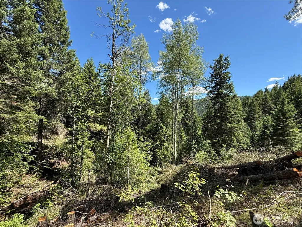 0 Toroda Creek Road Wauconda WA 98859