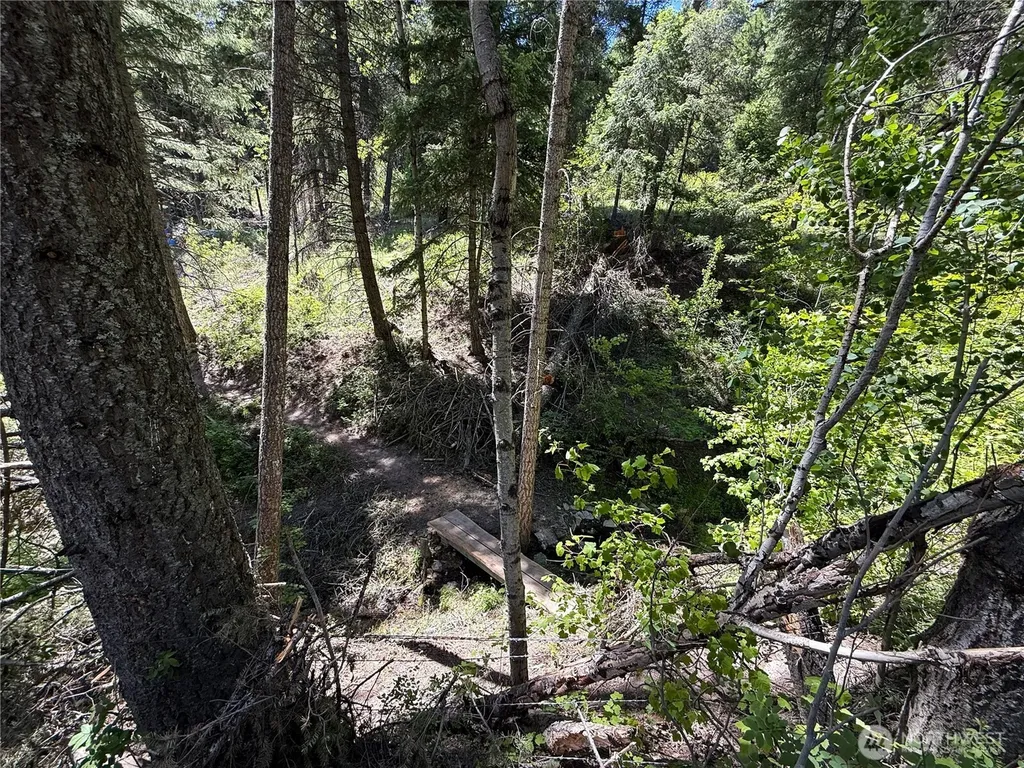 0 Toroda Creek Road Wauconda WA 98859