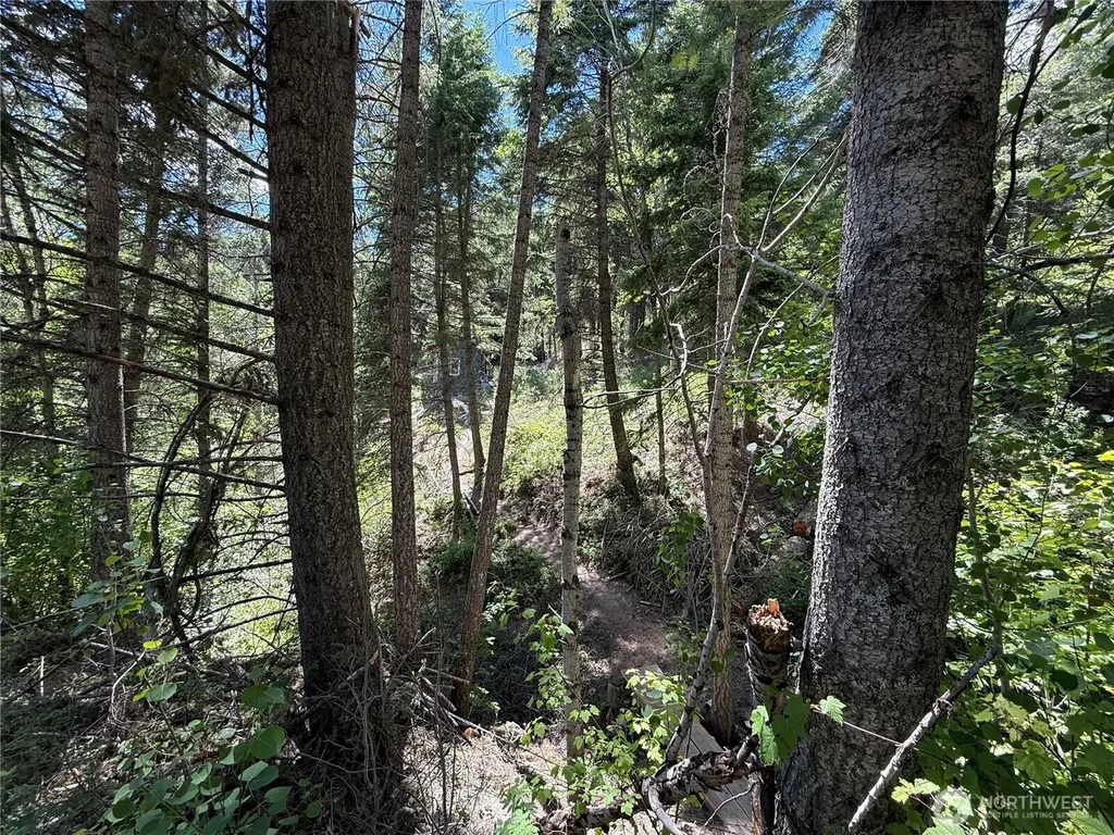 0 Toroda Creek Road Wauconda WA 98859