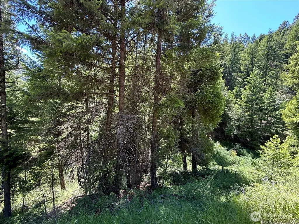 0 Toroda Creek Road Wauconda WA 98859