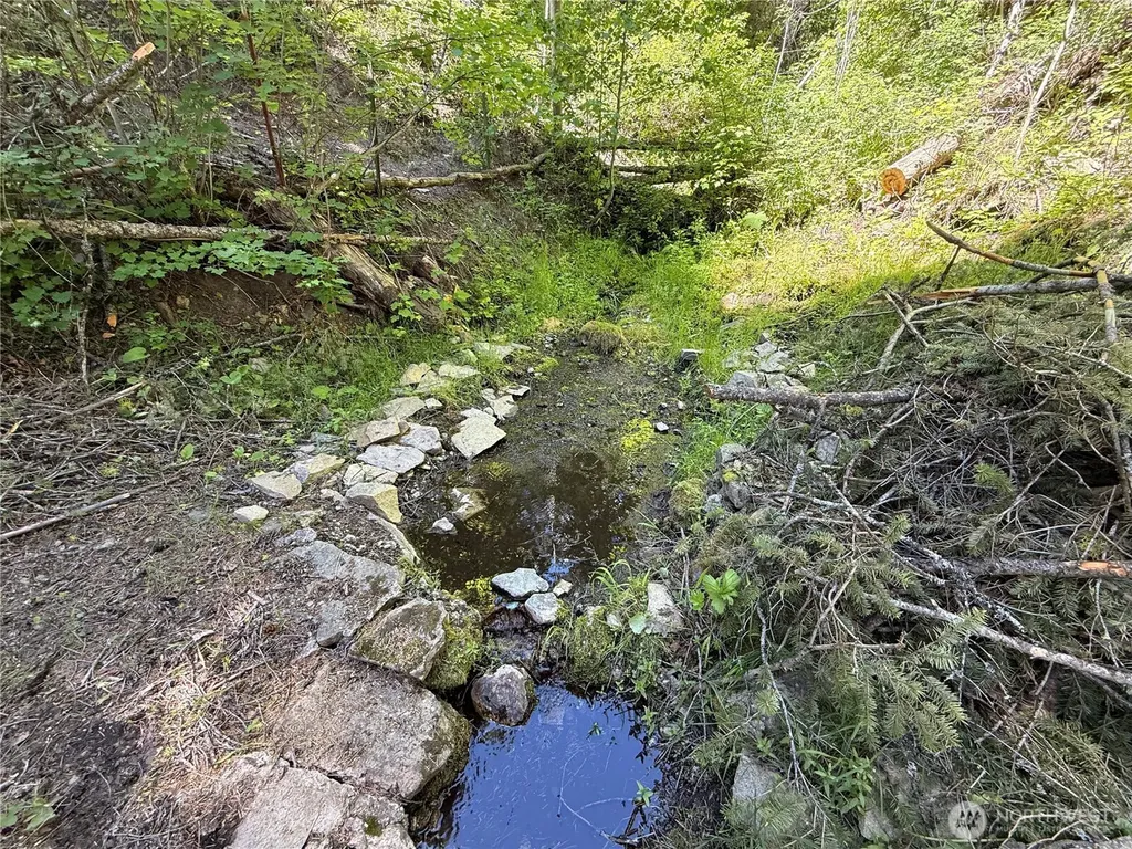 0 Toroda Creek Road Wauconda WA 98859