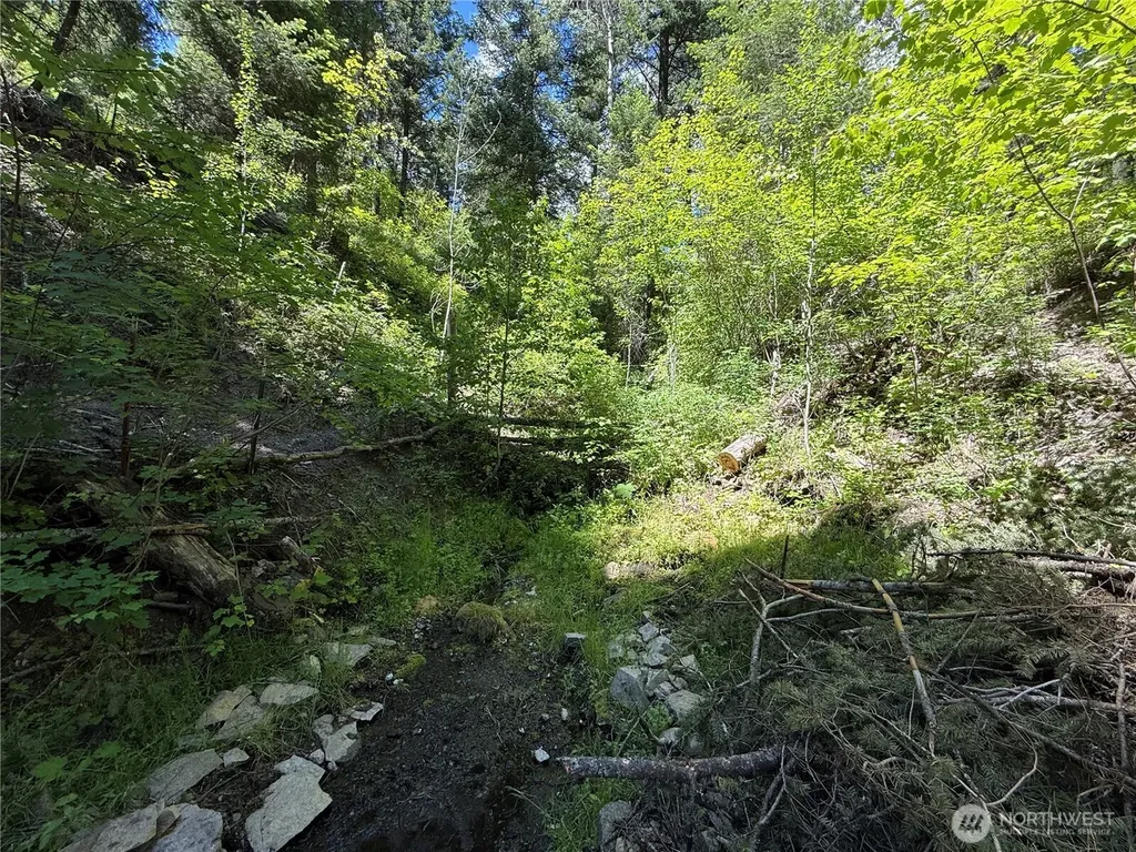 0 Toroda Creek Road Wauconda WA 98859