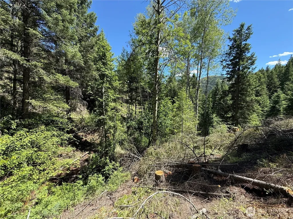 0 Toroda Creek Road Wauconda WA 98859