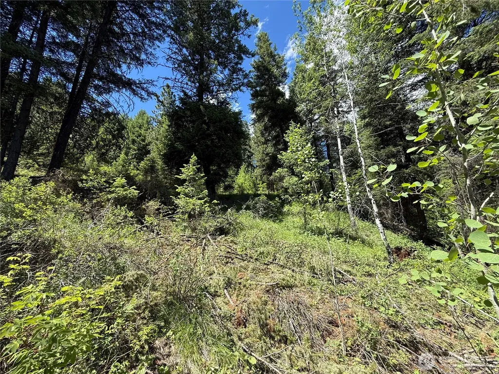 0 Toroda Creek Road Wauconda WA 98859