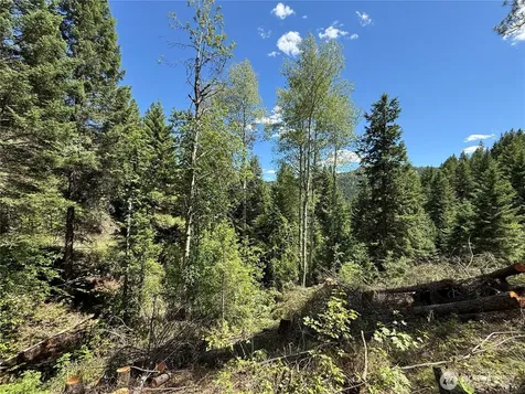0 Toroda Creek Road Wauconda WA 98859