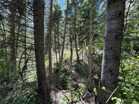 0 Toroda Creek Road Wauconda WA 98859