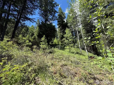 0 Toroda Creek Road Wauconda WA 98859