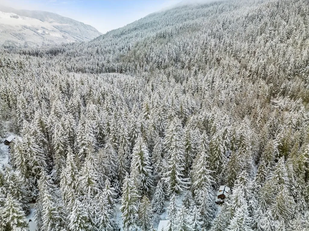 7101 Rainier Way Glacier WA 98244