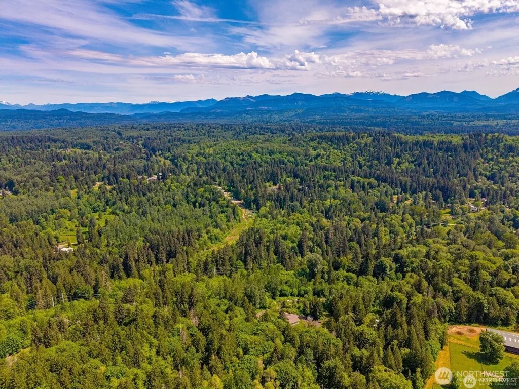28910 NE 112th Way Duvall WA 98019