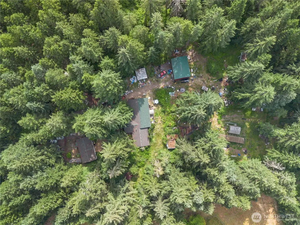 7007 85th Lane SE Olympia WA 98513