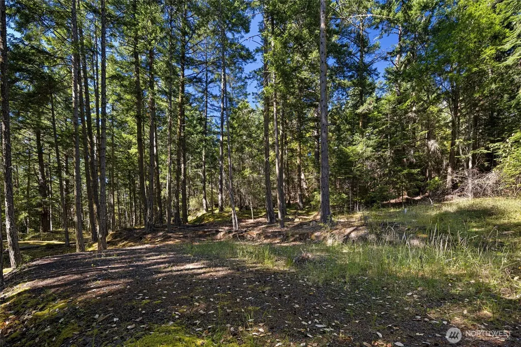 668 Carefree Lane Friday Harbor WA 98250