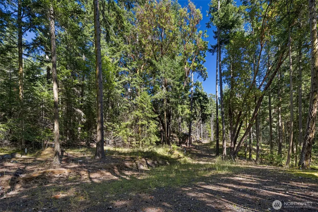 668 Carefree Lane Friday Harbor WA 98250