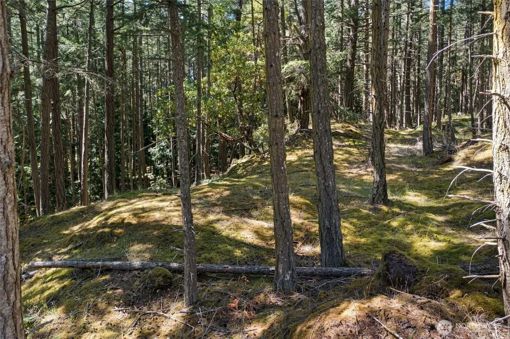 668 Carefree Lane Friday Harbor WA 98250