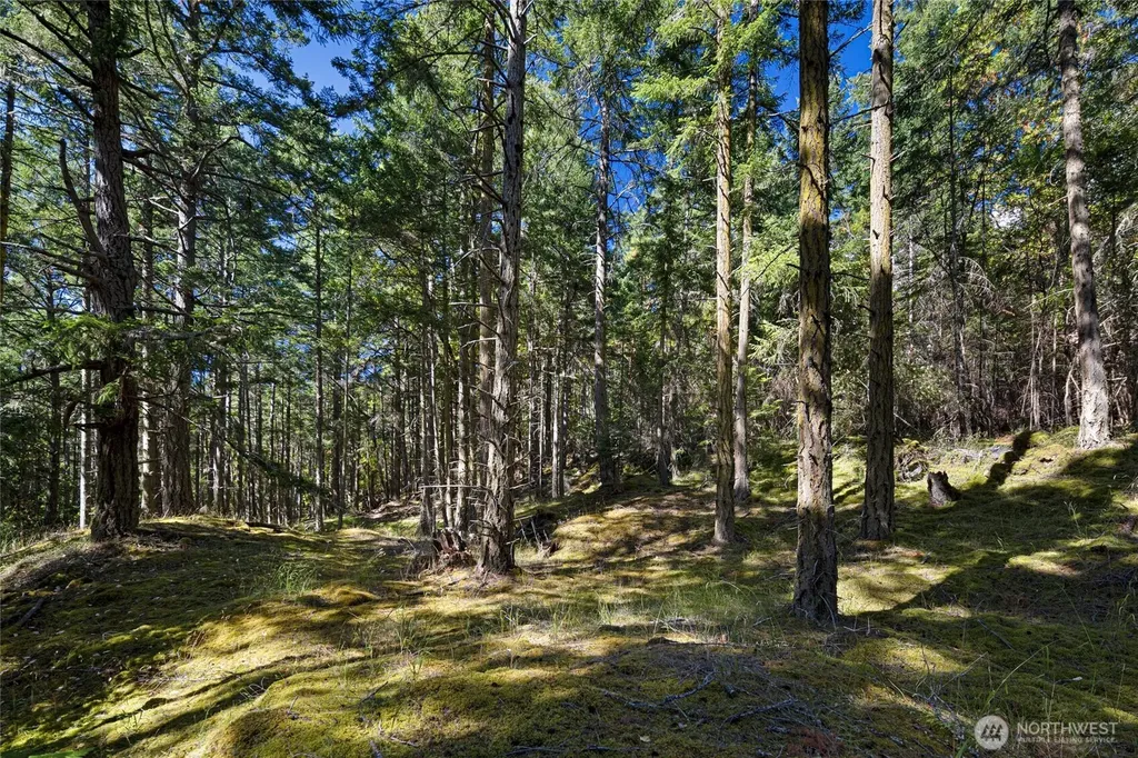 668 Carefree Lane Friday Harbor WA 98250