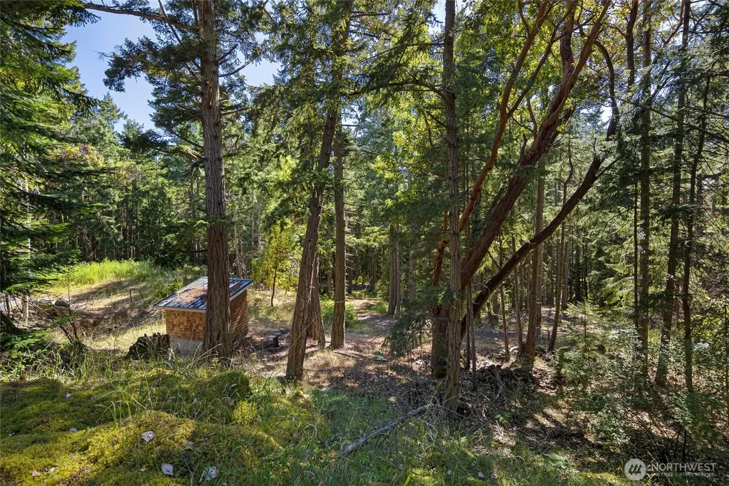 668 Carefree Lane Friday Harbor WA 98250