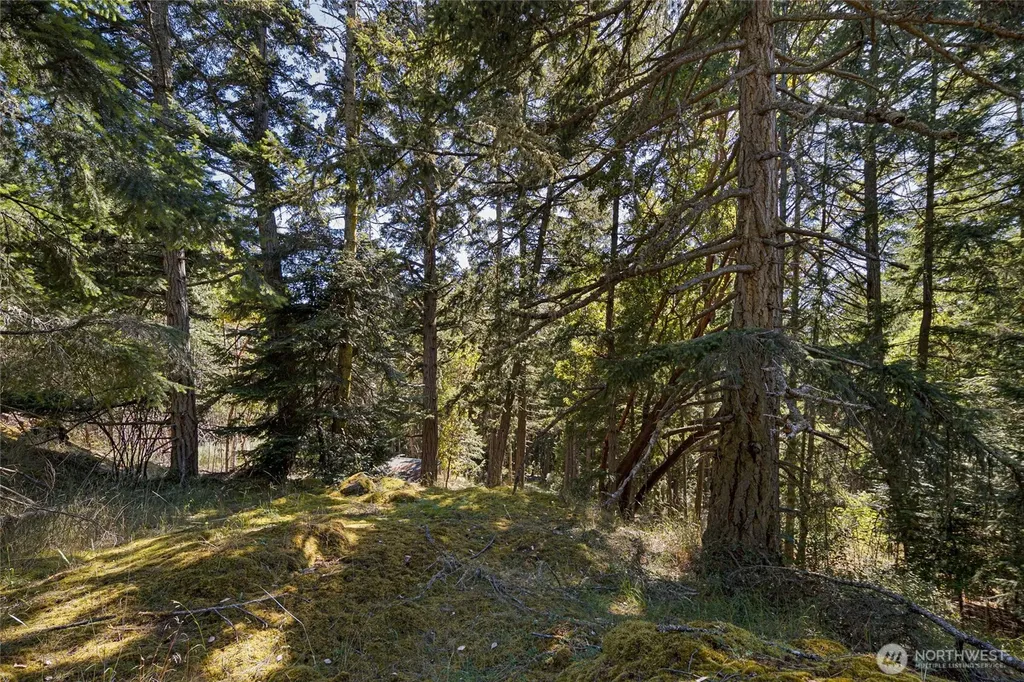 668 Carefree Lane Friday Harbor WA 98250