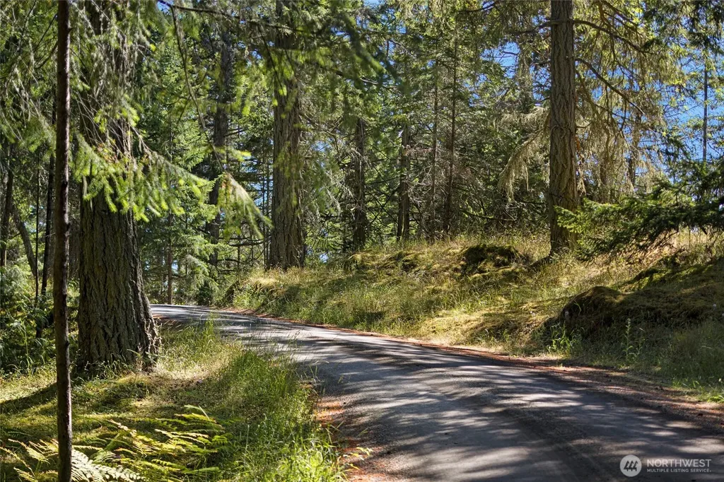 668 Carefree Lane Friday Harbor WA 98250