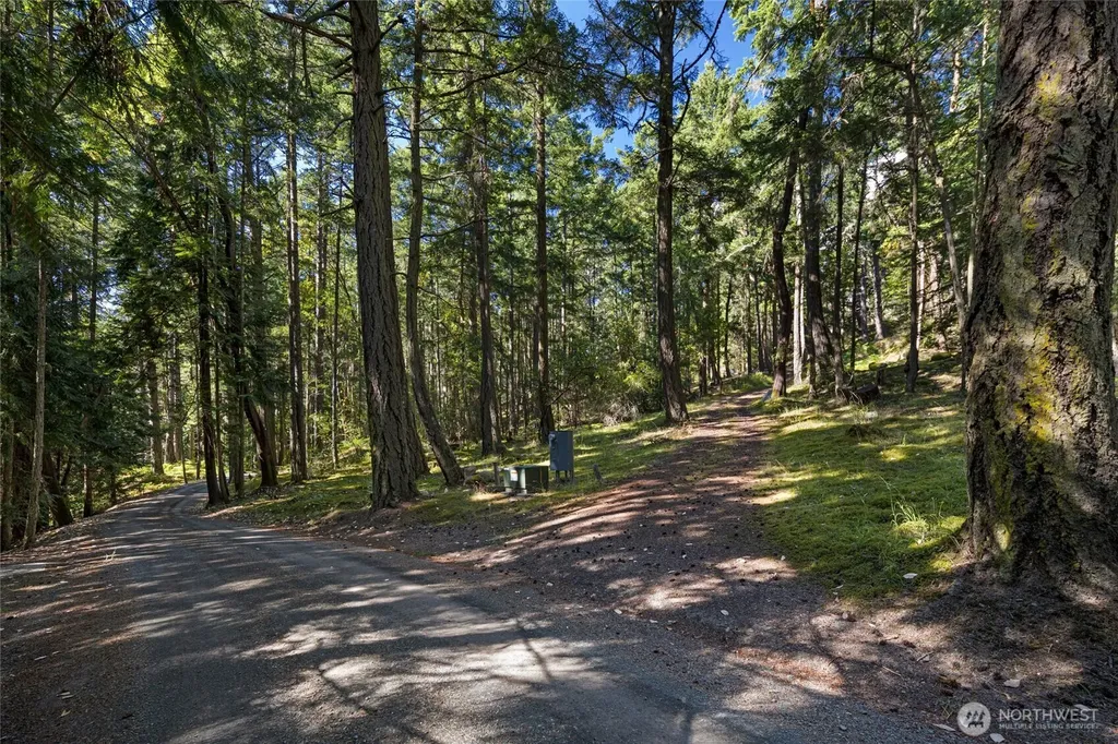 668 Carefree Lane Friday Harbor WA 98250