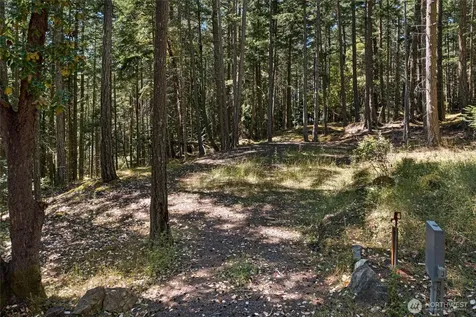 668 Carefree Lane Friday Harbor WA 98250