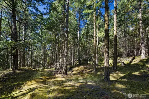 668 Carefree Lane Friday Harbor WA 98250