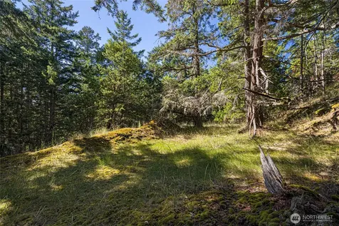 668 Carefree Lane Friday Harbor WA 98250