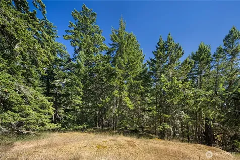 668 Carefree Lane Friday Harbor WA 98250
