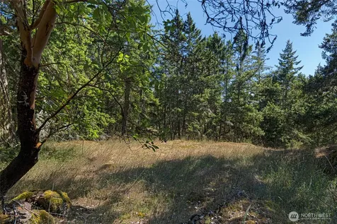 668 Carefree Lane Friday Harbor WA 98250