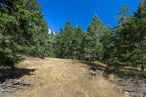 668 Carefree Lane Friday Harbor WA 98250