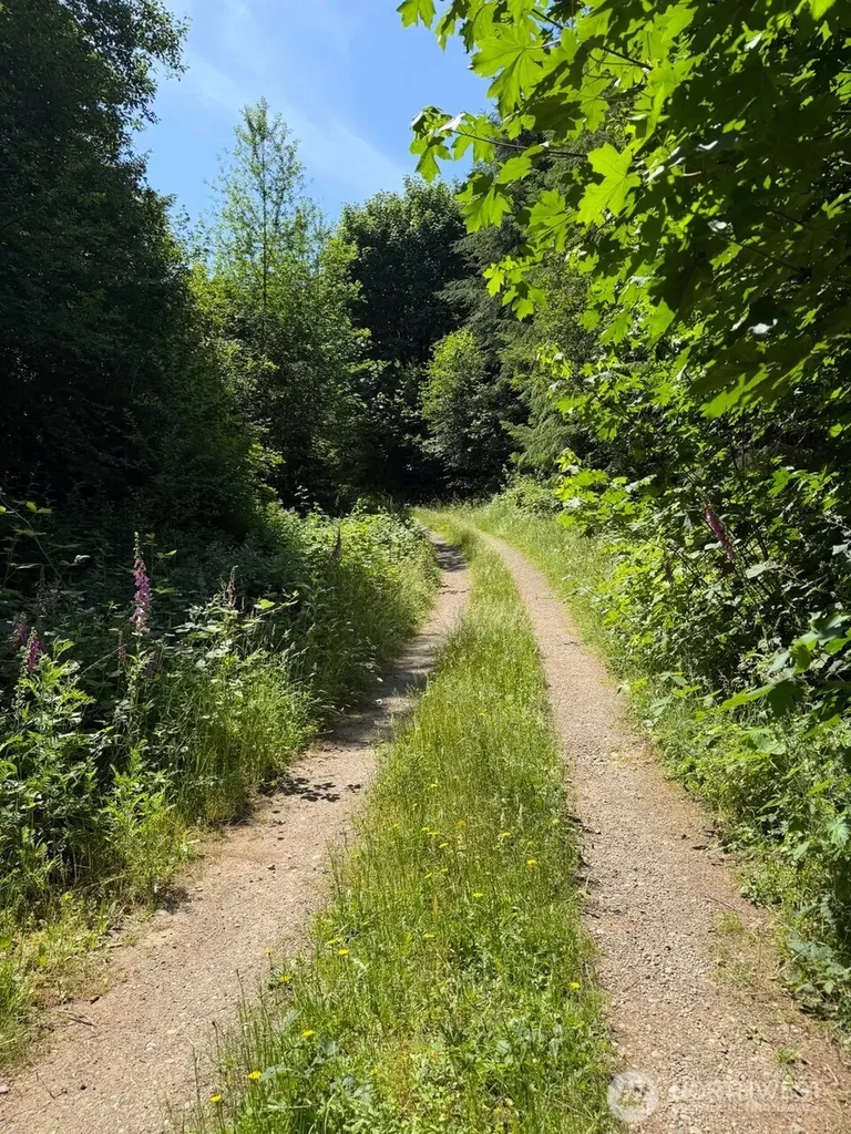 434 W Bulb Farm Road Shelton WA 98584