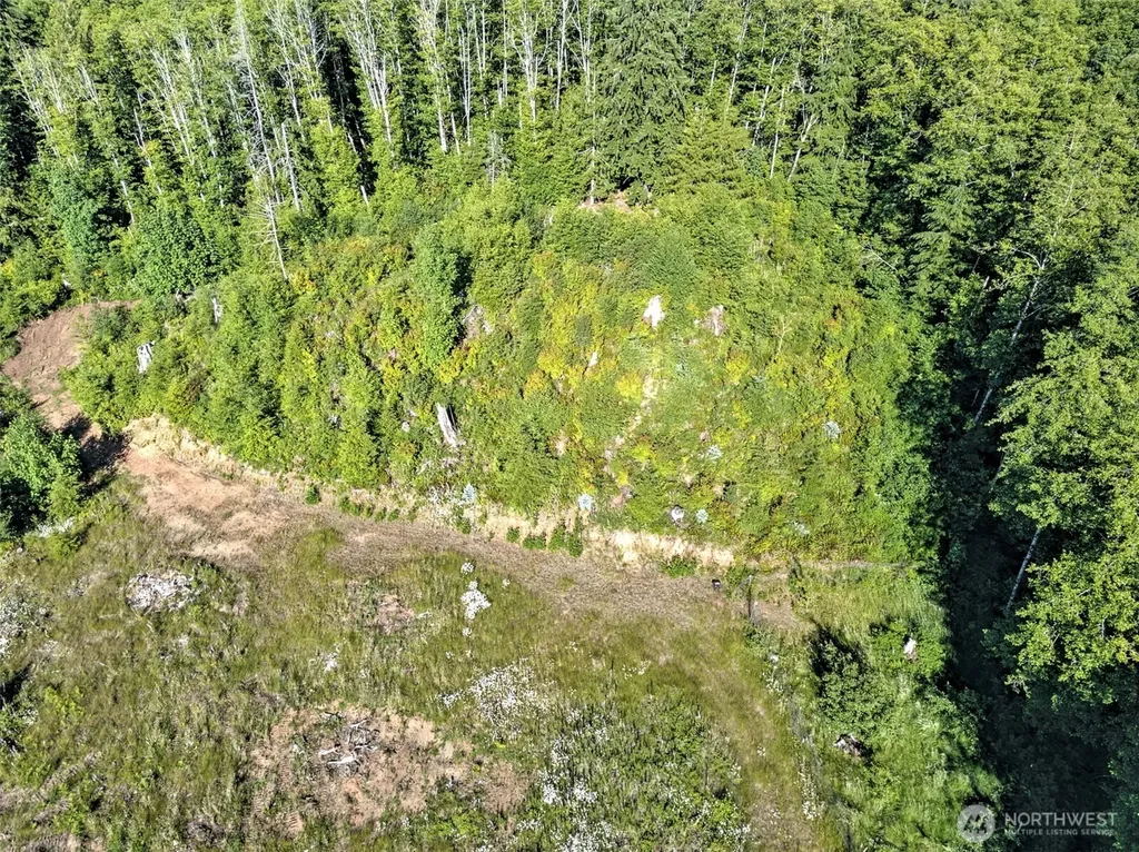 434 W Bulb Farm Road Shelton WA 98584