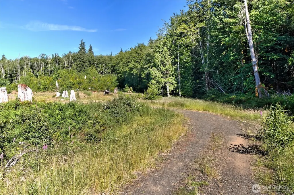 434 W Bulb Farm Road Shelton WA 98584