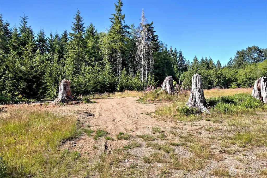 434 W Bulb Farm Road Shelton WA 98584