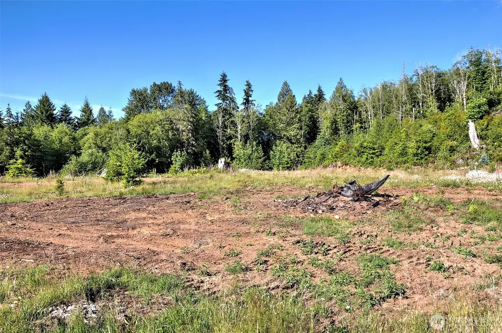 434 W Bulb Farm Road Shelton WA 98584